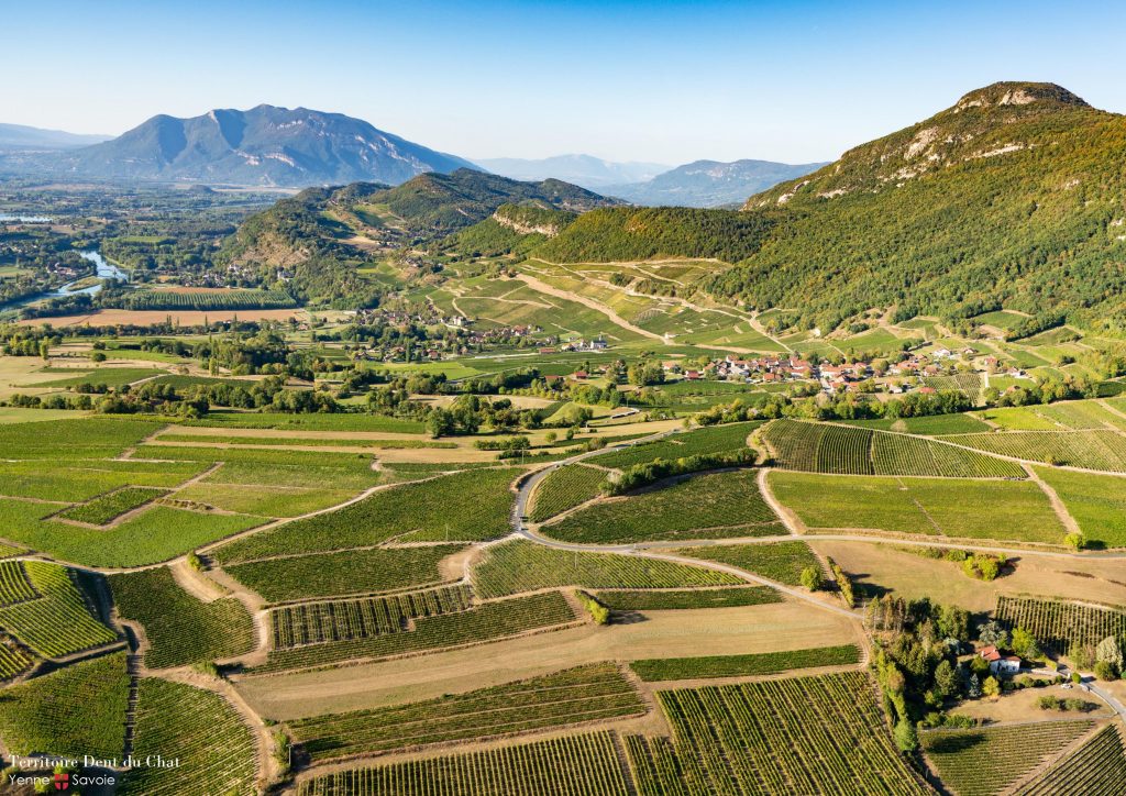 Le Vignoble de Jongieux-Marestel - Savoie